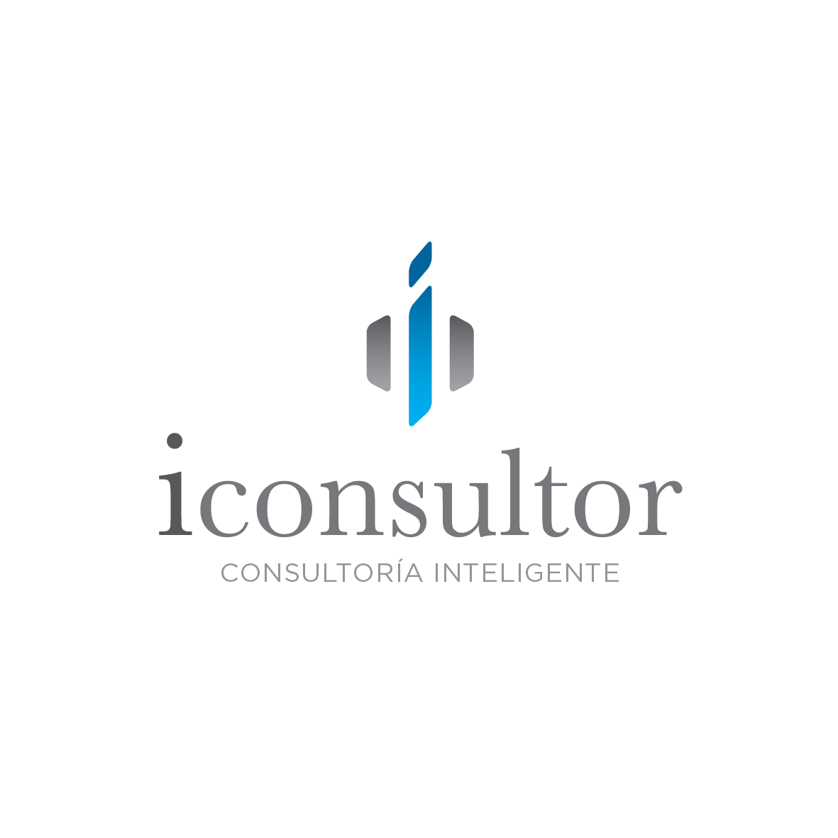iConsultor